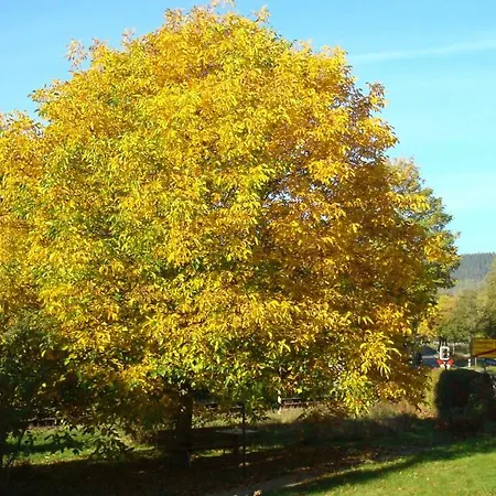 Apartman Haus Am Teutoburgerwald Sandebeck