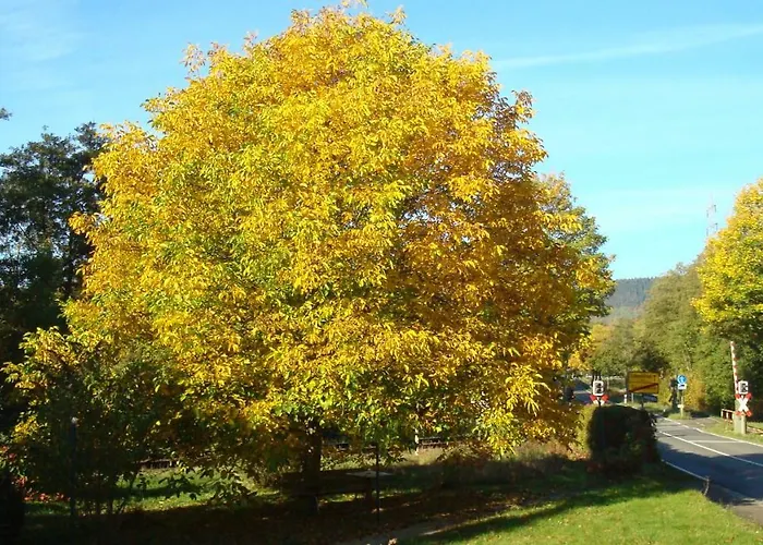 Apartman Haus Am Teutoburgerwald Sandebeck